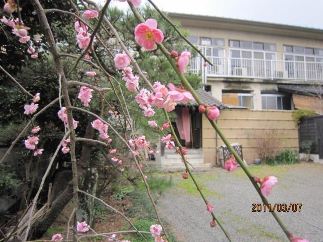 Ryokan Mikasaya Beppu Esterno foto